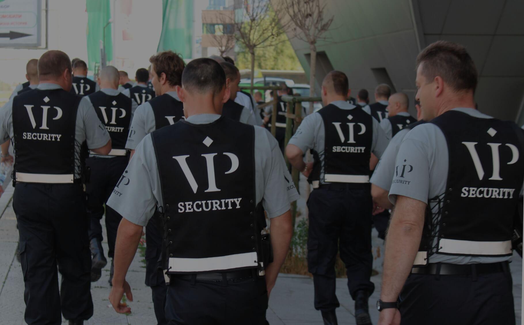 Private Security – luxury concierge service in Mykonos, Lyons Concierge (photo 1)